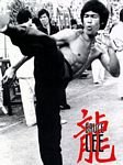pic for bruce lee